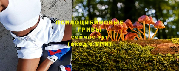 прущая мука Алзамай