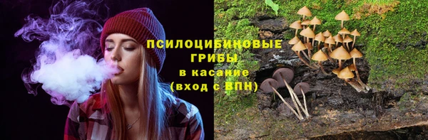 PSILOCYBIN Алексеевка
