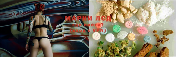 PSILOCYBIN Алексеевка