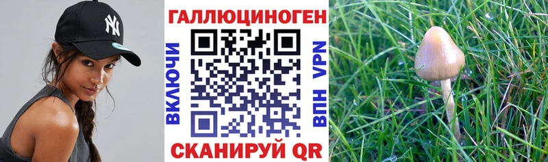 Галлюциногенные грибы мухоморы  Джанкой 